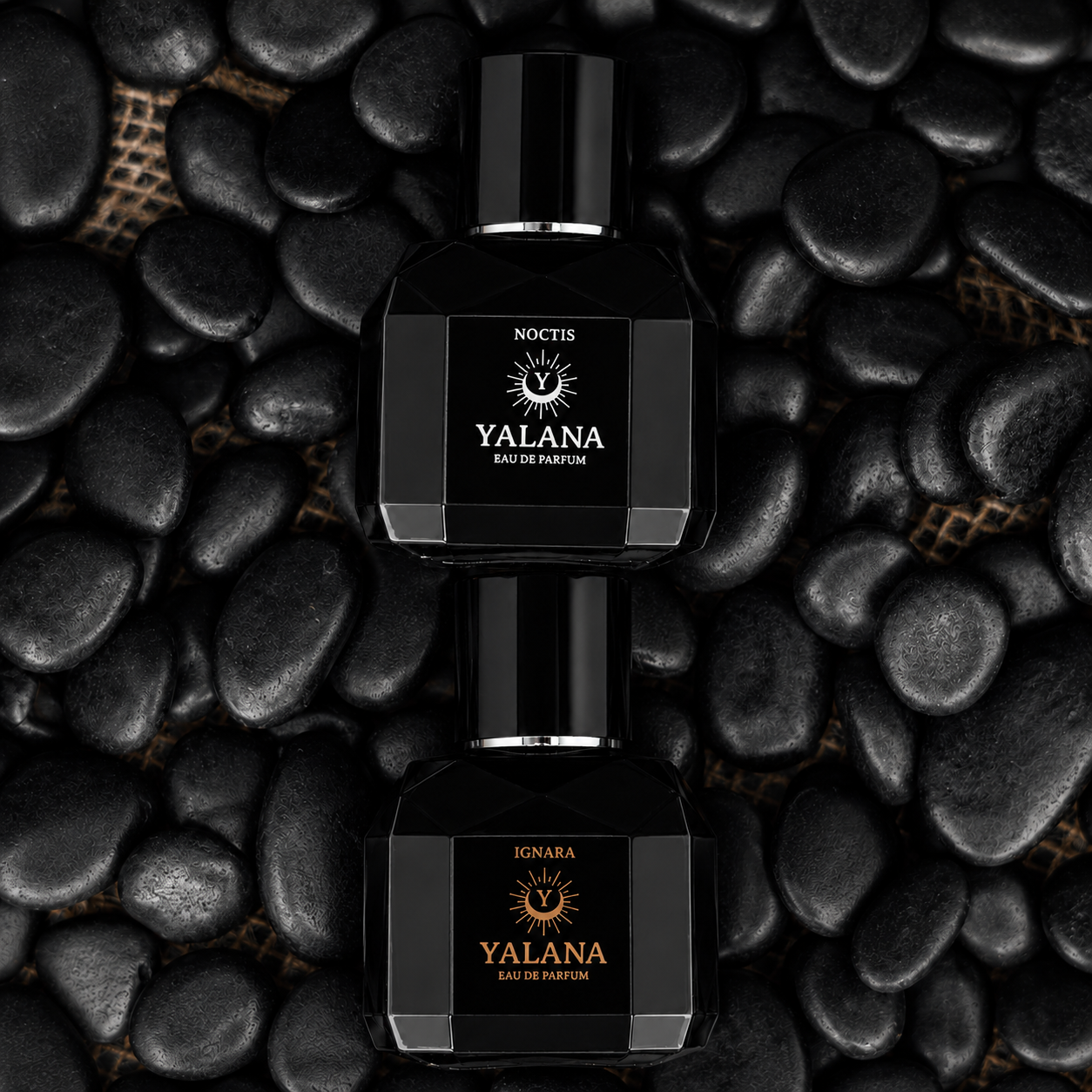 Bold & Balanced Duo - Masculine & Unisex