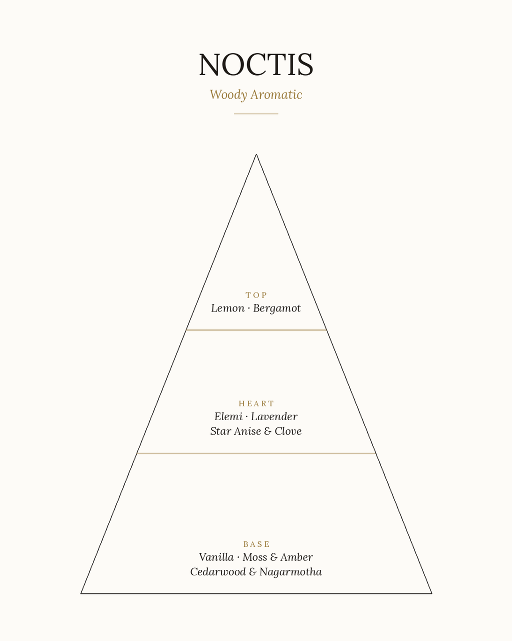 Noctis Eau de Parfum 50ml