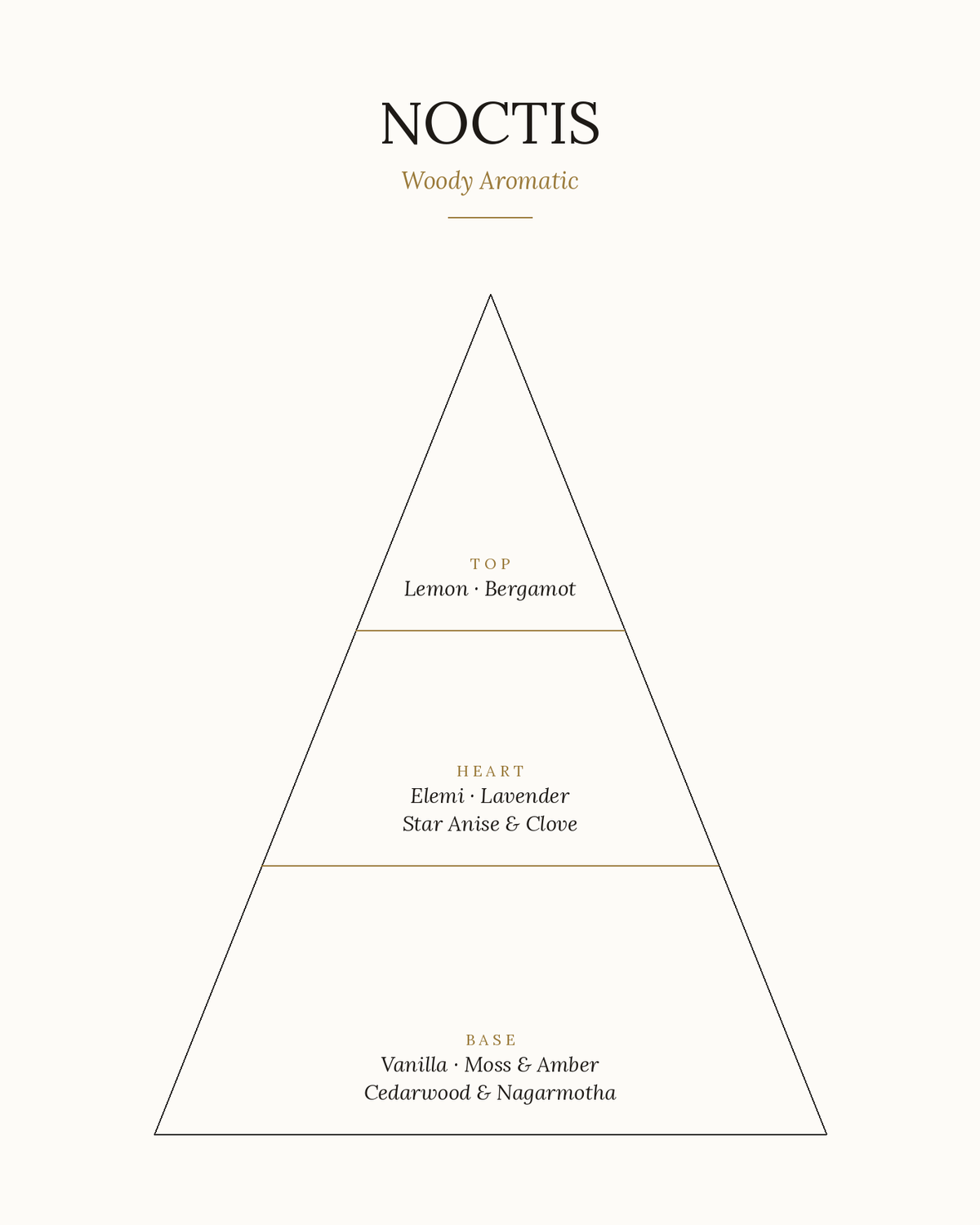 Noctis Eau de Parfum 50ml